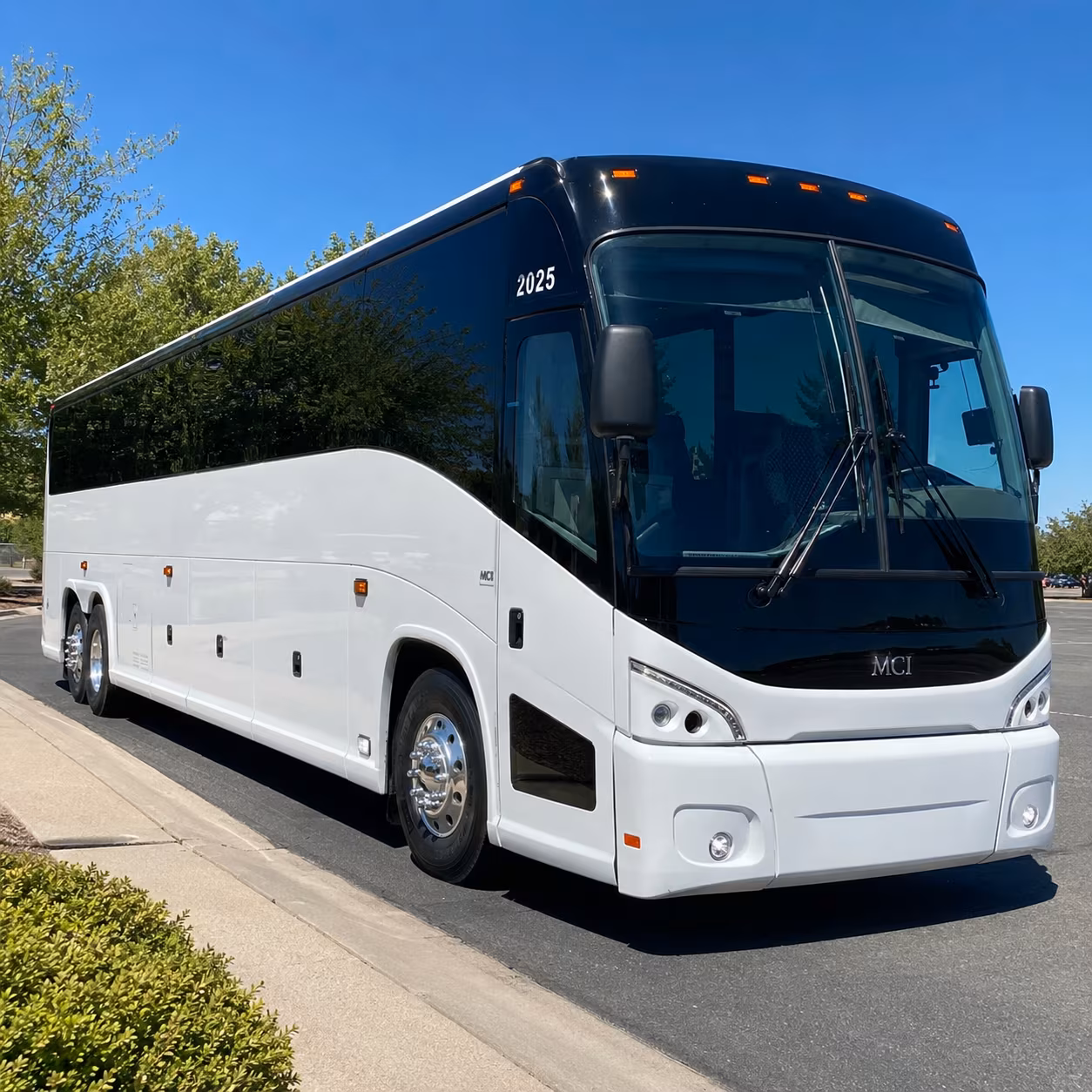 youth group trips from youngstown to cedar point pittsburgh and beyond
